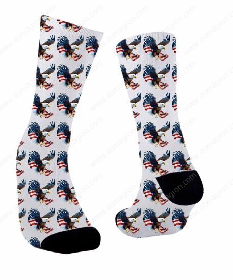 Eagle Landing Socks