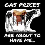 Gas Prices Are About To Have Me Direct to Film (DTF) Heat Transfer S-516