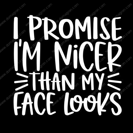 I Promise To Be Nicer Than My Face Looks Metal Photo S-526