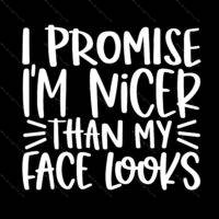 I Promise To Be Nicer Than My Face Looks Metal Photo S-526