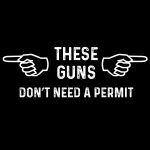 These Guns Don't Need A Permit Metal Photo N-500