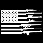 American Gun Flag Direct to Film (DTF) Heat Transfer N-499