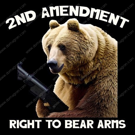 Right To Bear Arms Direct to Film (DTF) Heat Transfer N-528