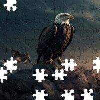 Perched Eagle Jigsaw Puzzle