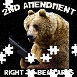 Right To Bear Arms Puzzle