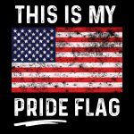 This Is My Pride Flag American Flag Direct to Film (DTF) Heat Transfer U-536