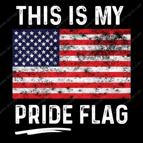 This Is My Pride Flag American Flag Direct to Film (DTF) Heat Transfer U-536