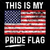 This Is My Pride Flag American Flag Metal Photo U-536