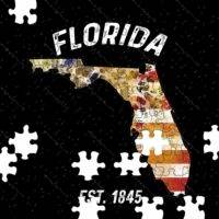 50 States Jigsaw Puzzle - Florida
