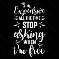 I'm Expensive All The Time Stop Asking When I'm Free  Metal Photo S-558