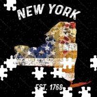 50 States Jigsaw Puzzle - New York