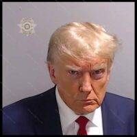 Fulton County Georgia Trump Mugshot Direct to Film (DTF) Heat Transfer T-579