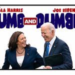 Joe Biden Kamala Harris Dumb and Dumber License Plate