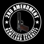 2nd Amendment America's Original Homeland Security Metal Photo N-601