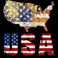 USA Flag Direct to Film (DTF) Heat Transfer U-597