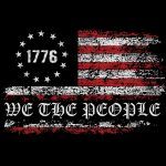 We The People Flag Direct to Film (DTF) Heat Transfer U-661