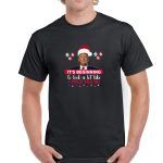 It's Beginning To Look Like I Told You Trump Shirt T-613