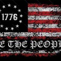 We The People Flag License Plate U-661