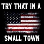 Try That In A Small Town Color Flag Metal Photo U-630