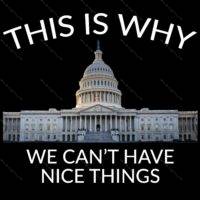 This Is Why We Can't Have Nice Things Direct to Film (DTF) Heat Transfer P-653