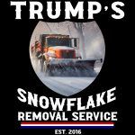 Trump's Snowflake Removal Service Direct to Film (DTF) Heat Transfer T-680