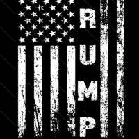 Trump 2024 Flag Metal Photo T-665