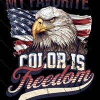 My Favorite Color Is Freedom Metal Photo U-655