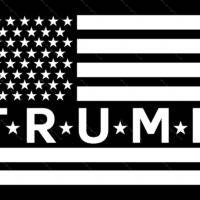 Trump Flag Metal Photo T-676