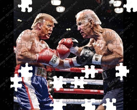 Trump Boxing Match Puzzle