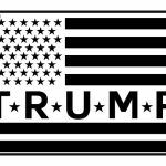 Trump Flag License Plate T-676