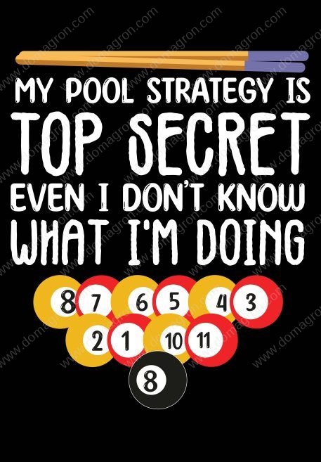 My Pool Strategy Is Top Secret Metal Photo S-716