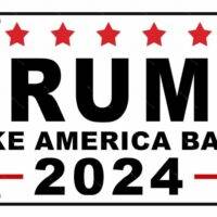 Donald Trump 2024 Take America Back Election License Plate T-682