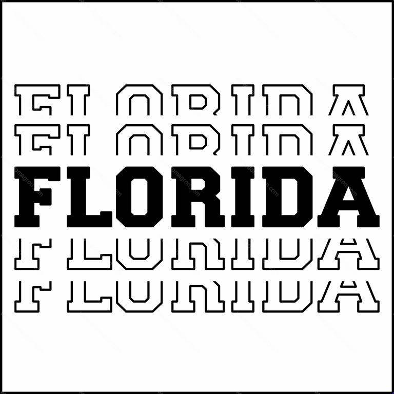 Florida Direct to Film (DTF) Heat Transfer F-741