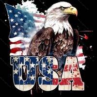 US Eagle Patriotic Direct to Film (DTF) Heat Transfer U-735