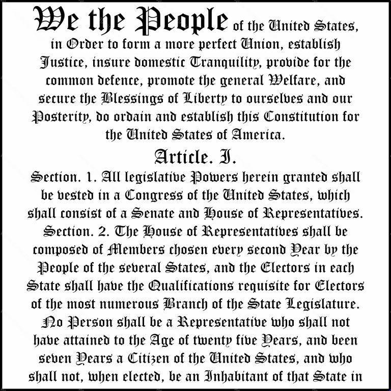Intro To US Constitution Direct to Film (DTF) Heat Transfer U-718