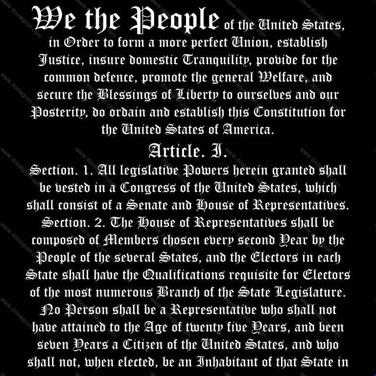 Intro To US Constitution Direct to Film (DTF) Heat Transfer U-718