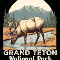 Grand Teton National Park Metal Photo K-747