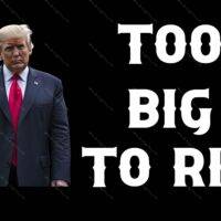 Trump Too Big To Rig Metal Photo T-744