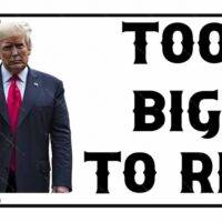 Trump Too Big To Rig License Plate T-744