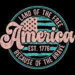 Land Of The Free Because Of the Brave Retro Metal Photo U-782