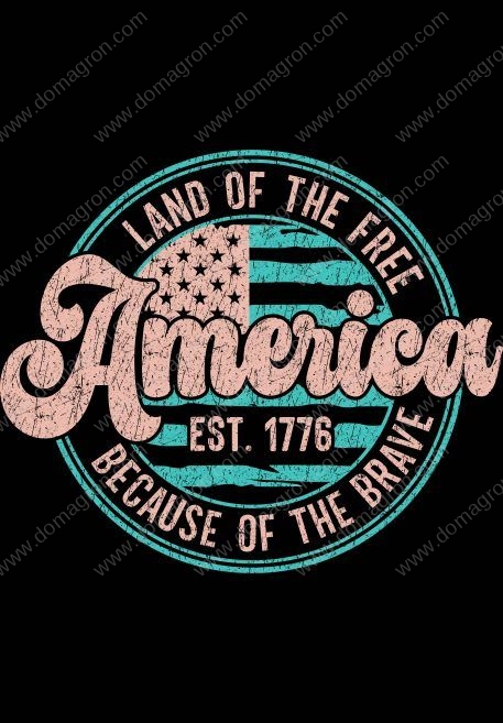 Land Of The Free Because Of the Brave Retro Metal Photo U-782