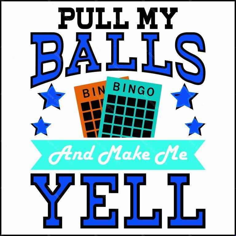 Pull My Balls Funny Bingo Direct to Film (DTF) Heat Transfer S-789