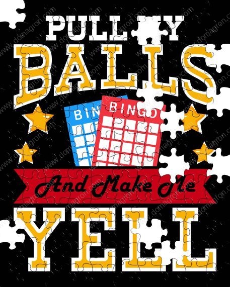 Pull My Balls Funny Bingo Puzzle S-789