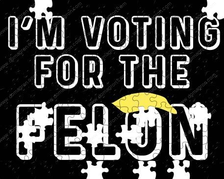 I'm Voting For The Felon T-795