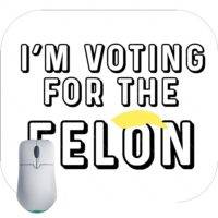 I'm Voting For The Felon Mouse Pad T-795
