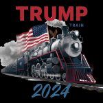 Trump Train 2024 Direct to Film (DTF) Heat Transfer T-804