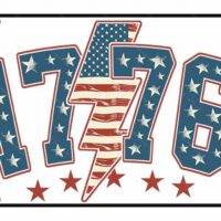 Vintage 1776 Patriotic License Plate U-813