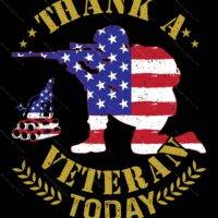 Thank A Veteran Today Metal Photo U-815