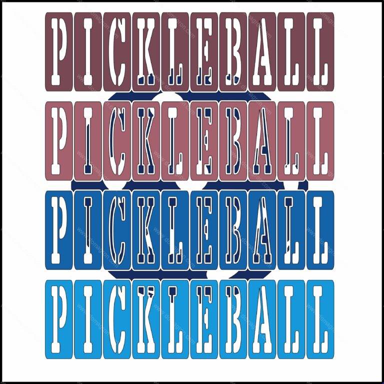 Vintage Pickleball Direct to Film (DTF) Heat Transfer F-816