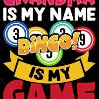 Grandma Is My Name Bingo Is My Game Metal Photo S-812